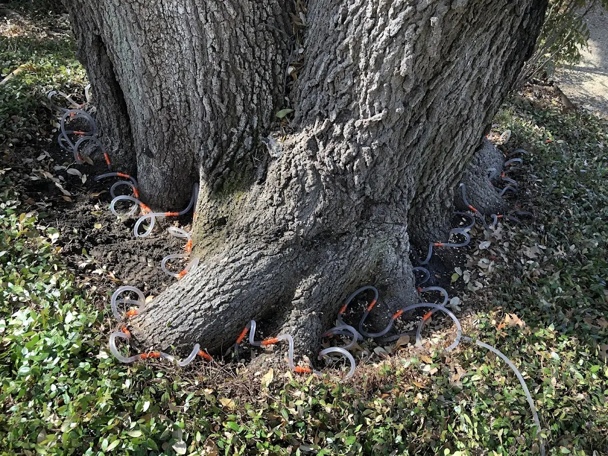 Detailed Shrub and Hedge Trimming job site in Washburn